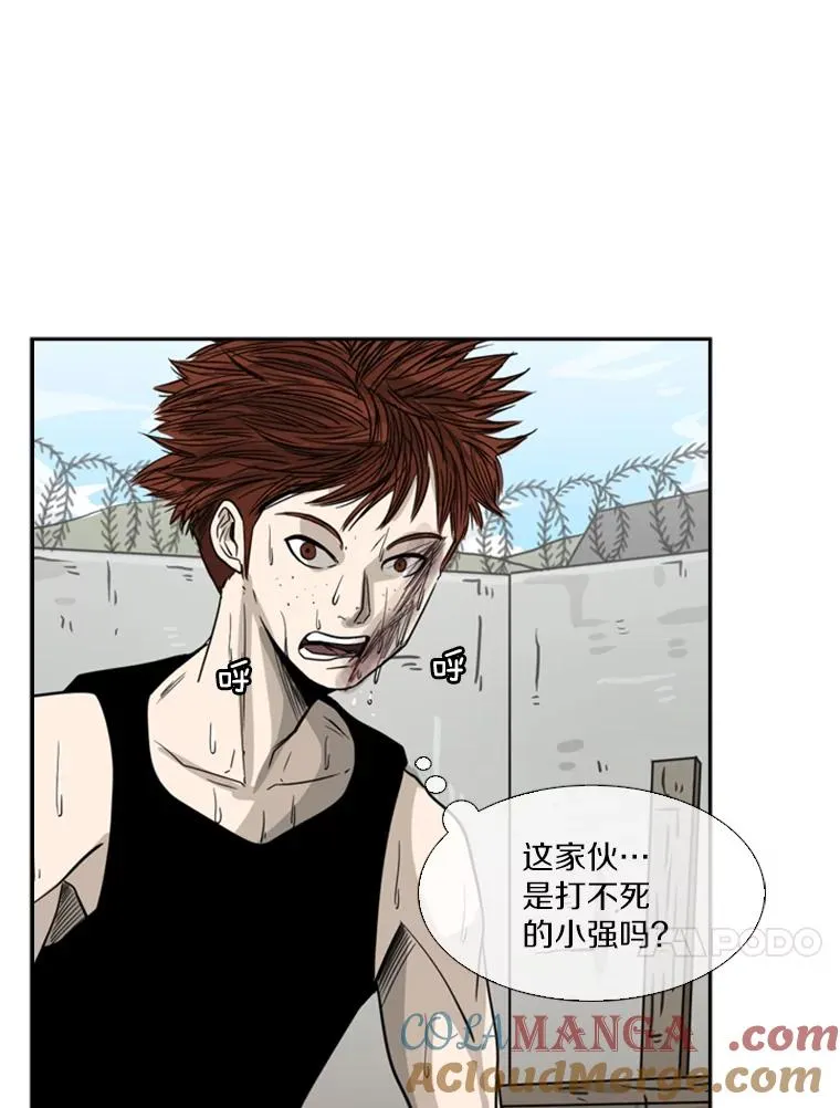 51.不死鸟96