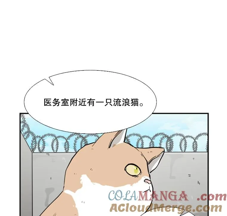 55.和平协议16