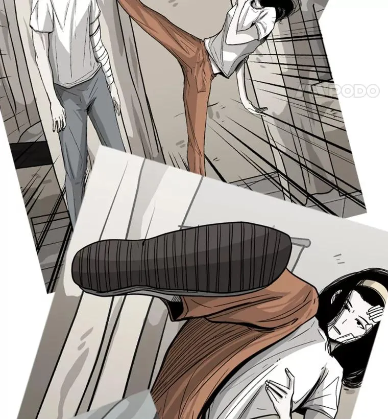 51.不死鸟119