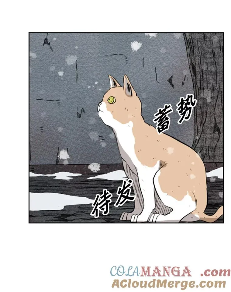 124.外传3.那只猫想让你自由88