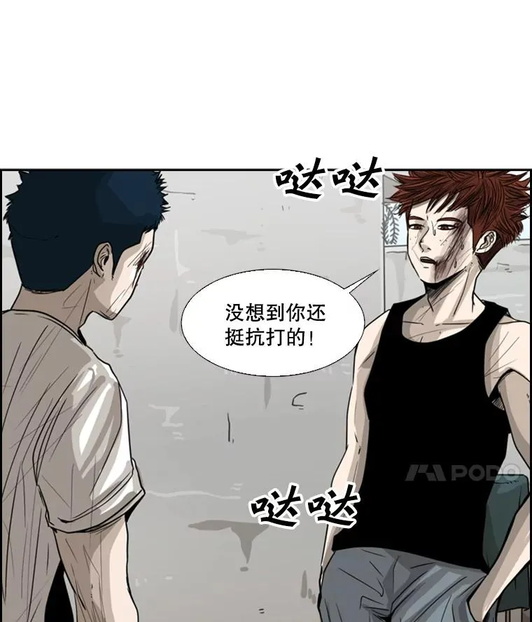 51.不死鸟51