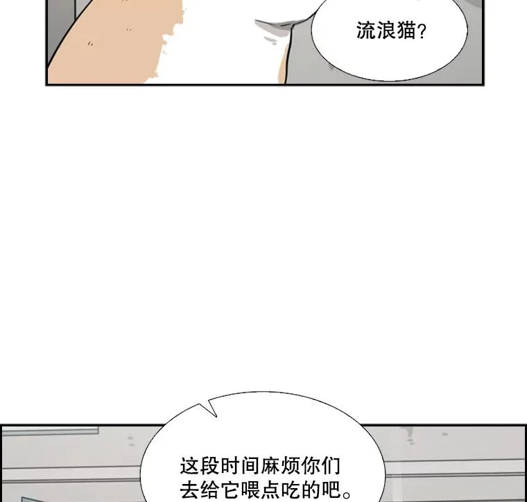 55.和平协议17