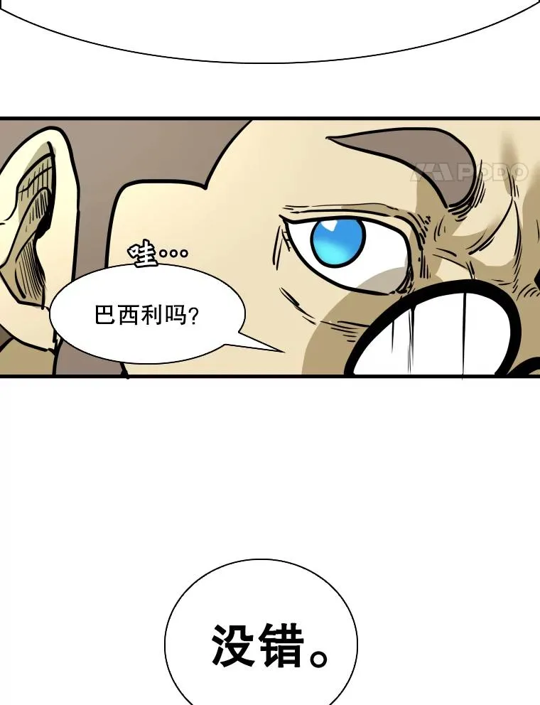 300.巴西利的蜕变3