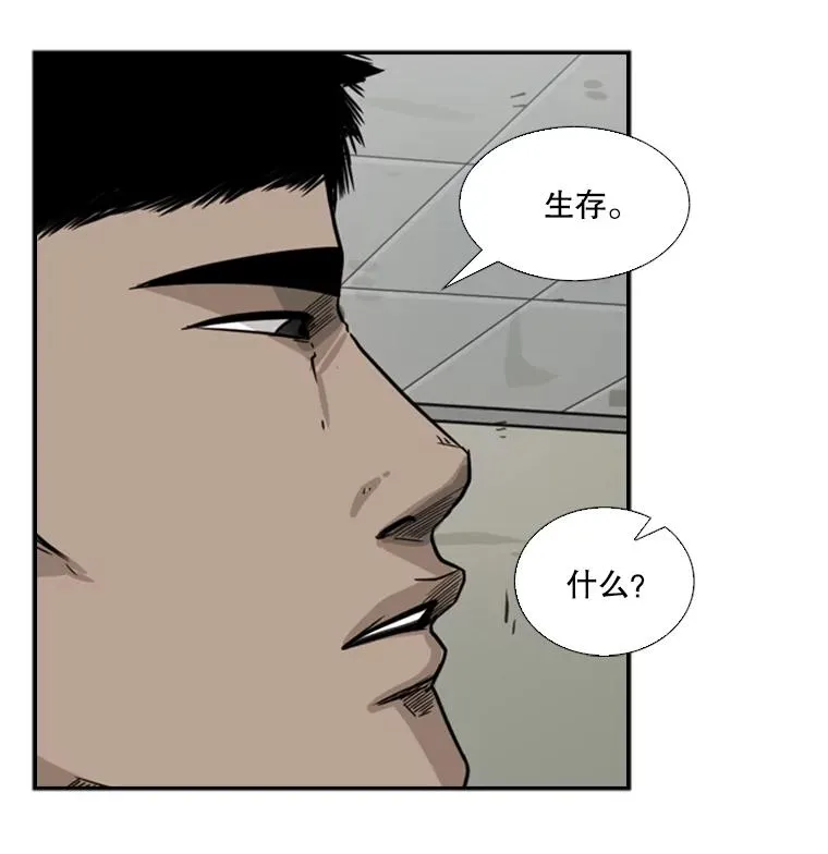55.和平协议83