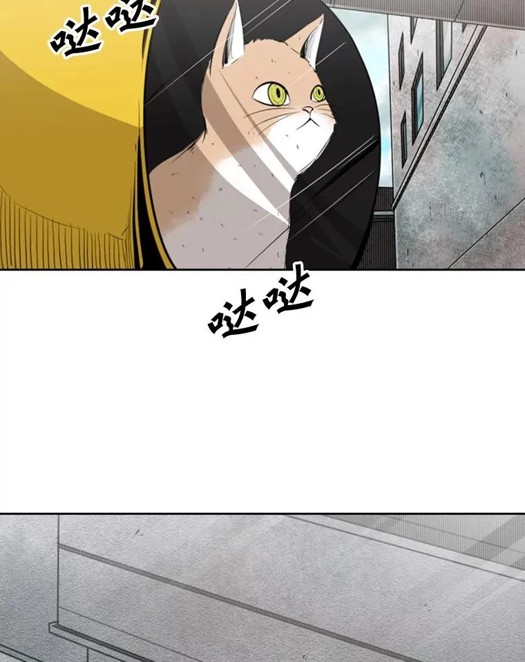127.报名46