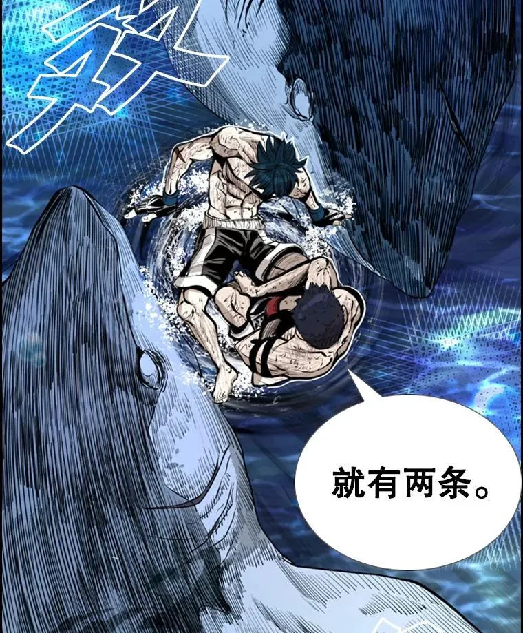 223.两条鲨鱼2