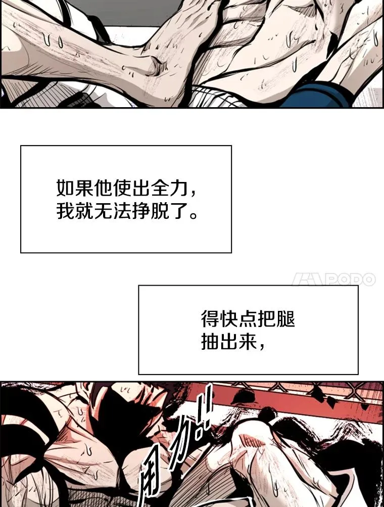 223.两条鲨鱼17