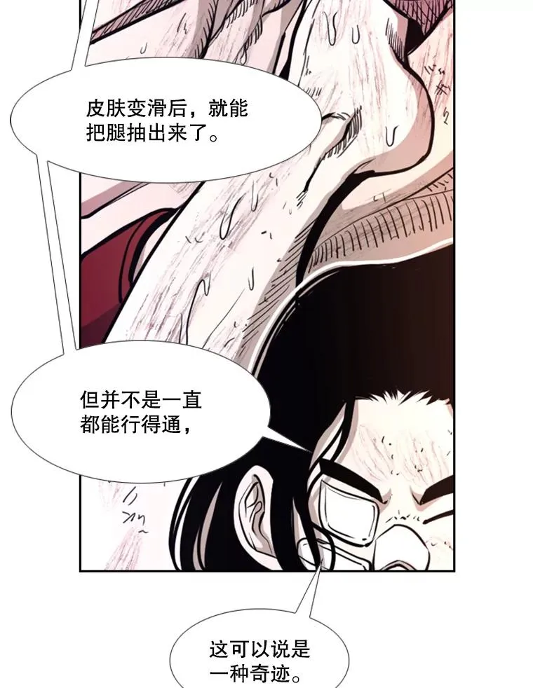 223.两条鲨鱼78