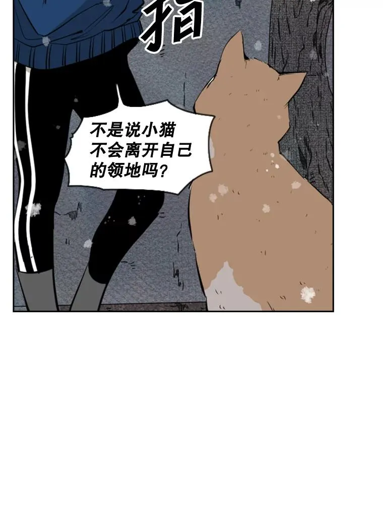 124.外传3.那只猫想让你自由87