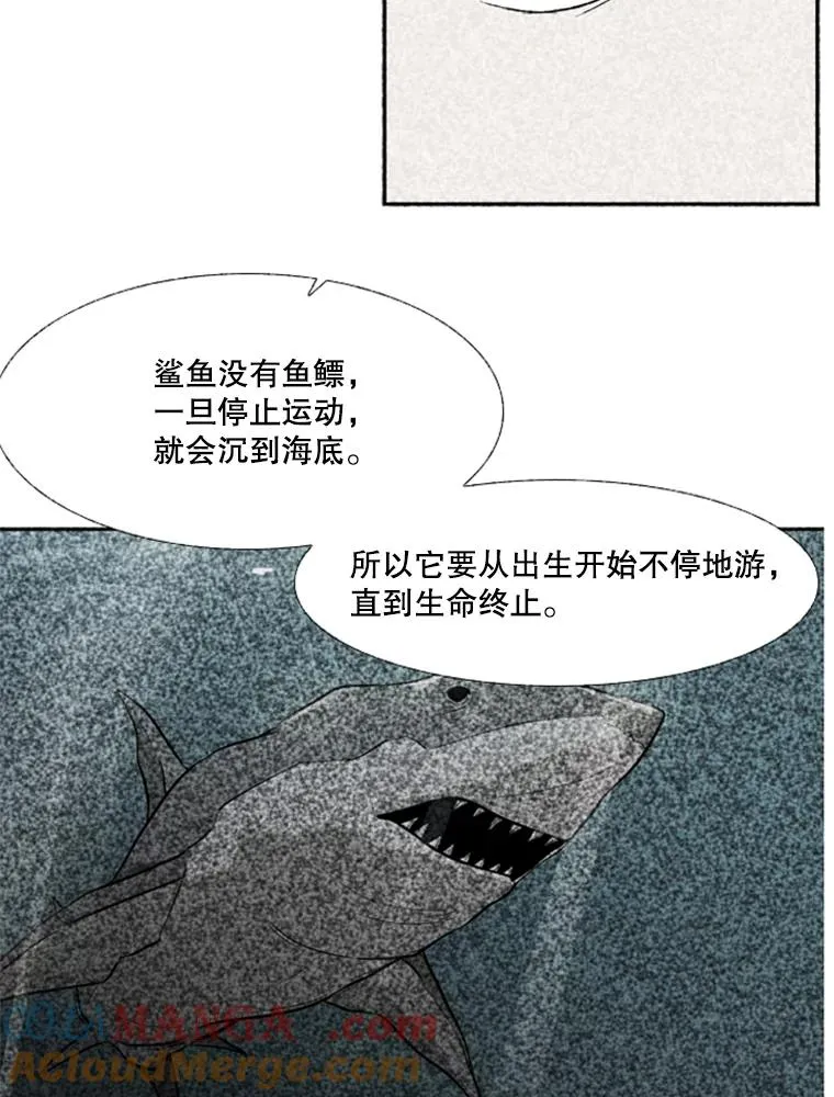 244.职业赛首秀72