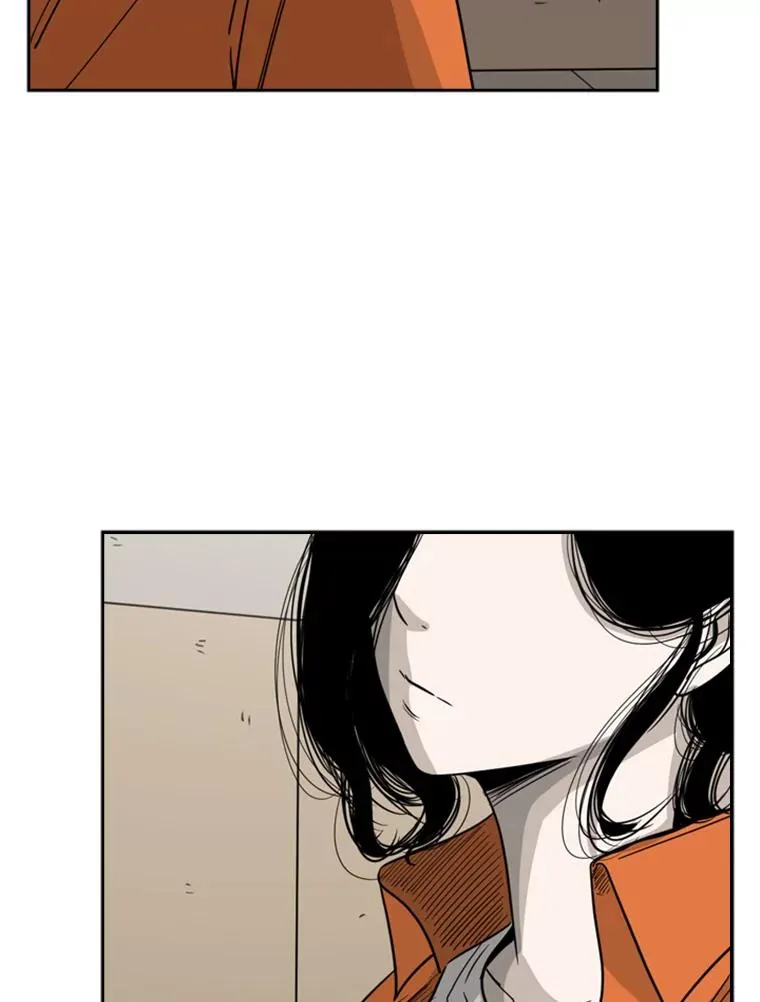 55.和平协议1