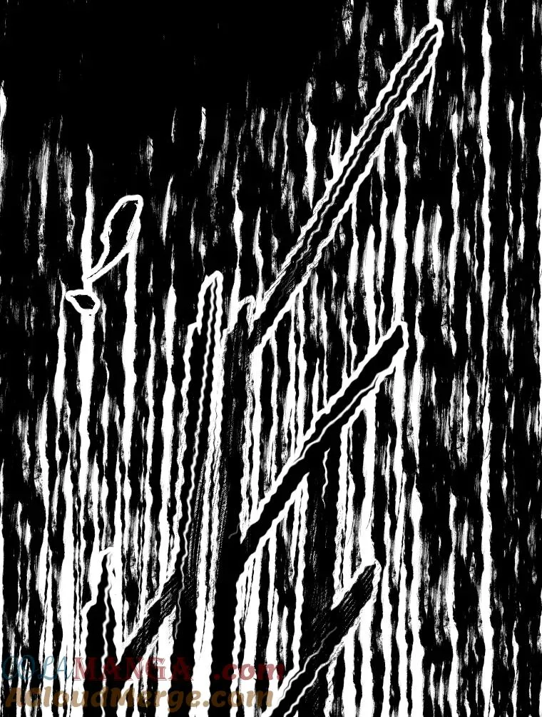 308.巴西利的胜利116