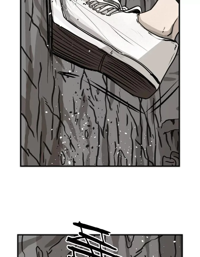 66.分出胜负46