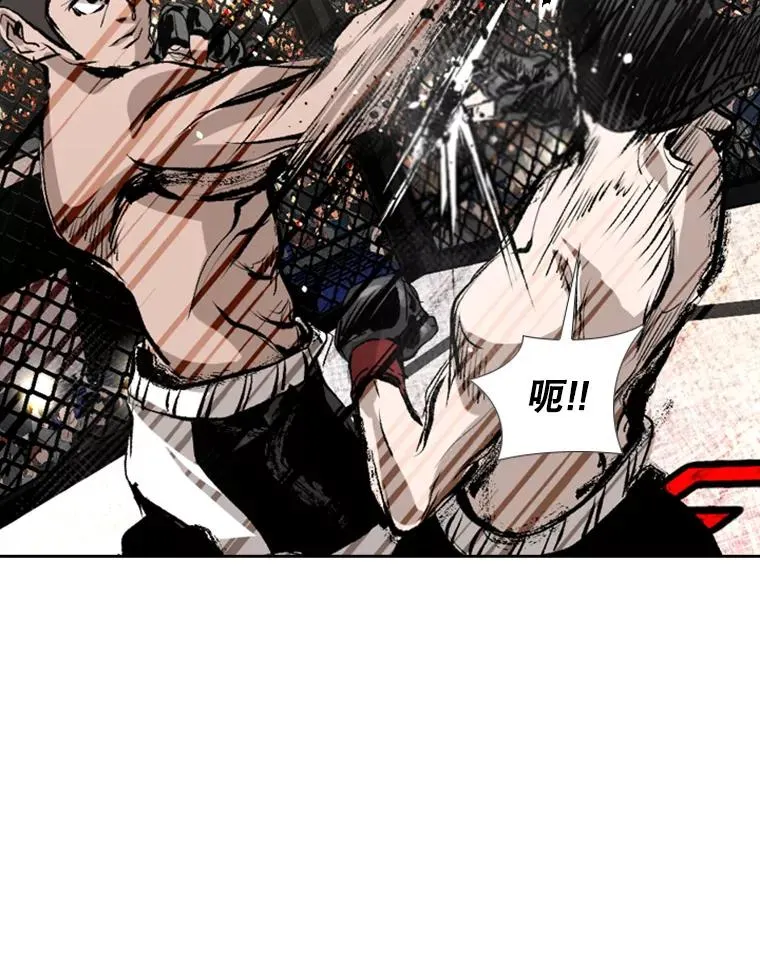 152.柔术对抗泰拳17