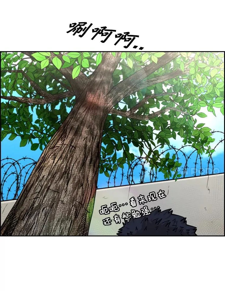 226.恭喜你，冠军！73