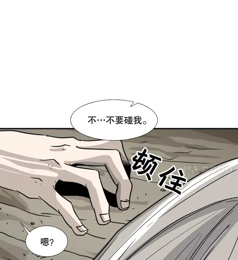 51.不死鸟33