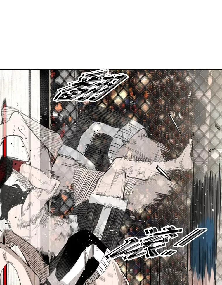 152.柔术对抗泰拳1