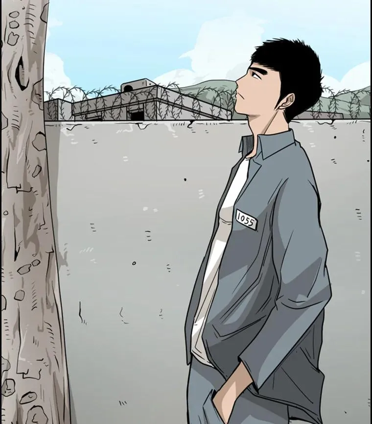 28.确定74