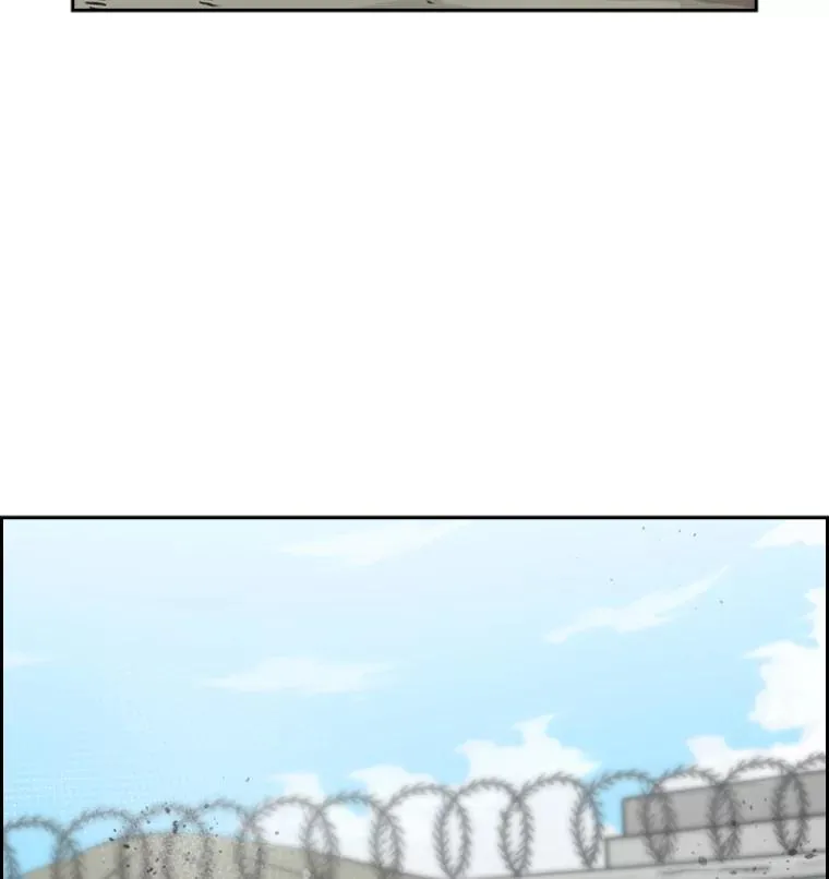 51.不死鸟110