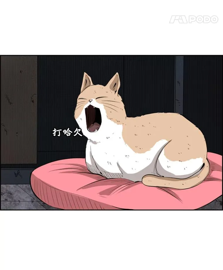 124.外传3.那只猫想让你自由117