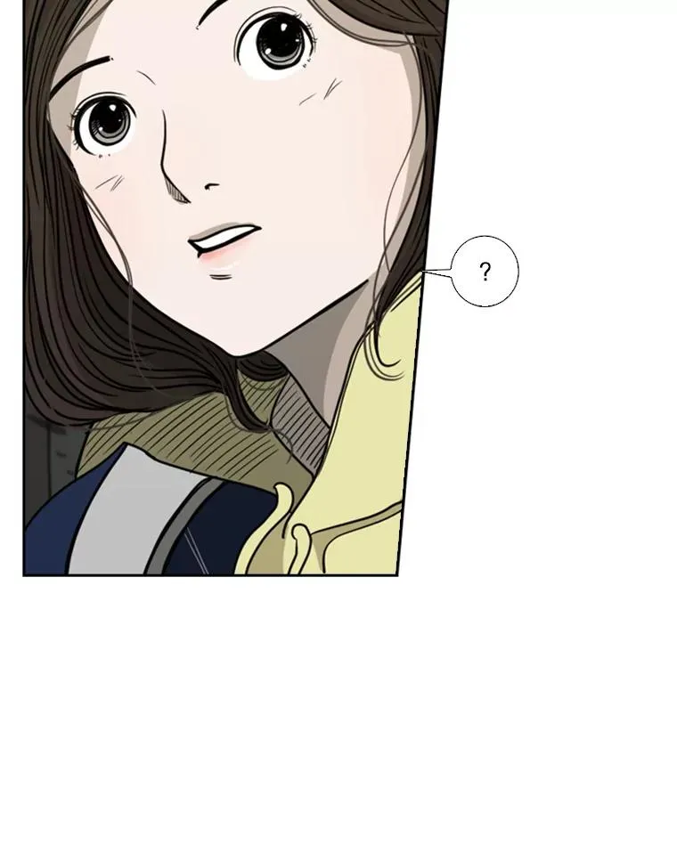 73.再次遇见65
