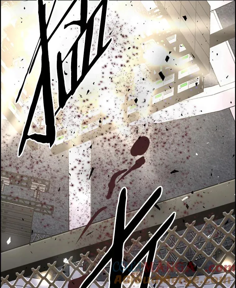 177.胜利和失败4
