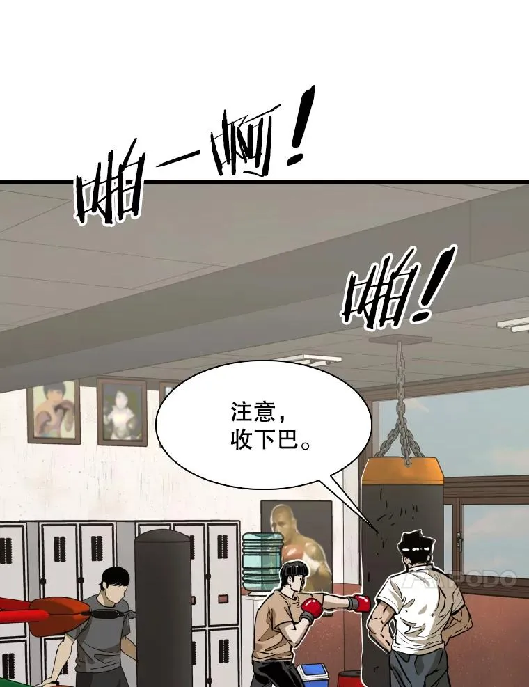 300.巴西利的蜕变45