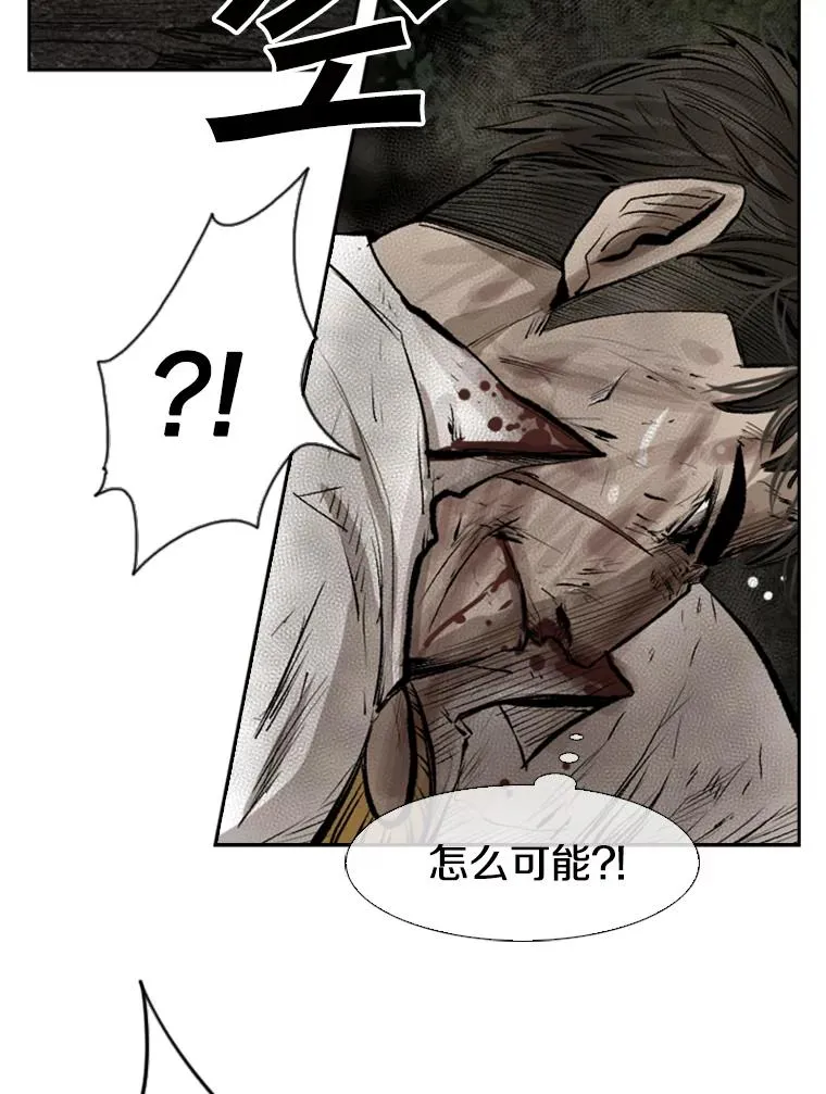 117.最后一击78
