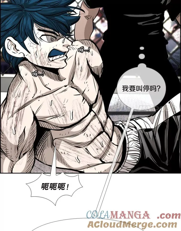 223.两条鲨鱼60