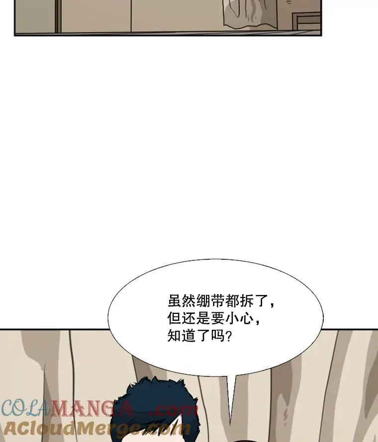 55.和平协议100
