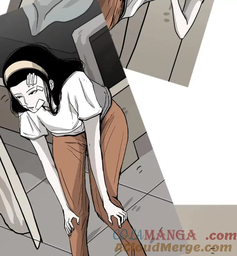 51.不死鸟120