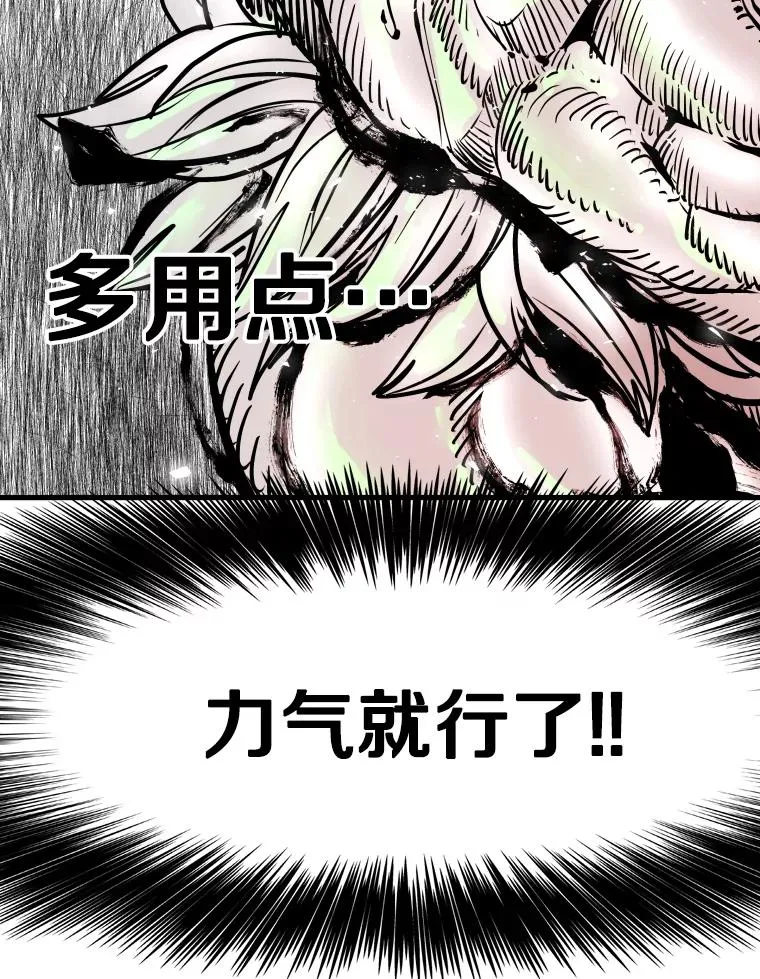 316.第一回合81