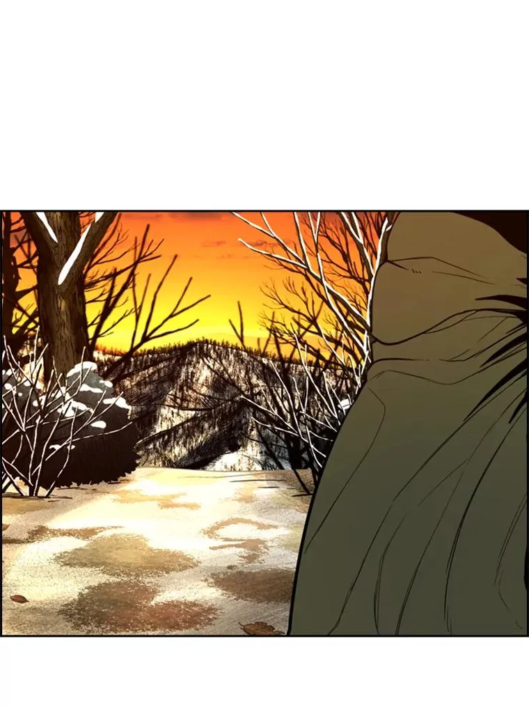 237.抉择95