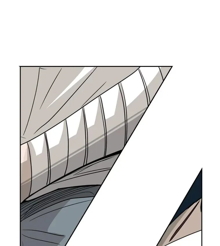 42.约战113