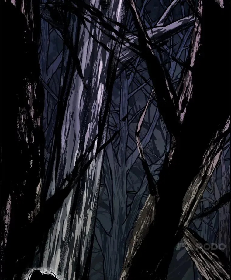 240.林中作战119