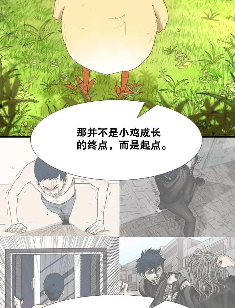200.恭喜你破壳而出35