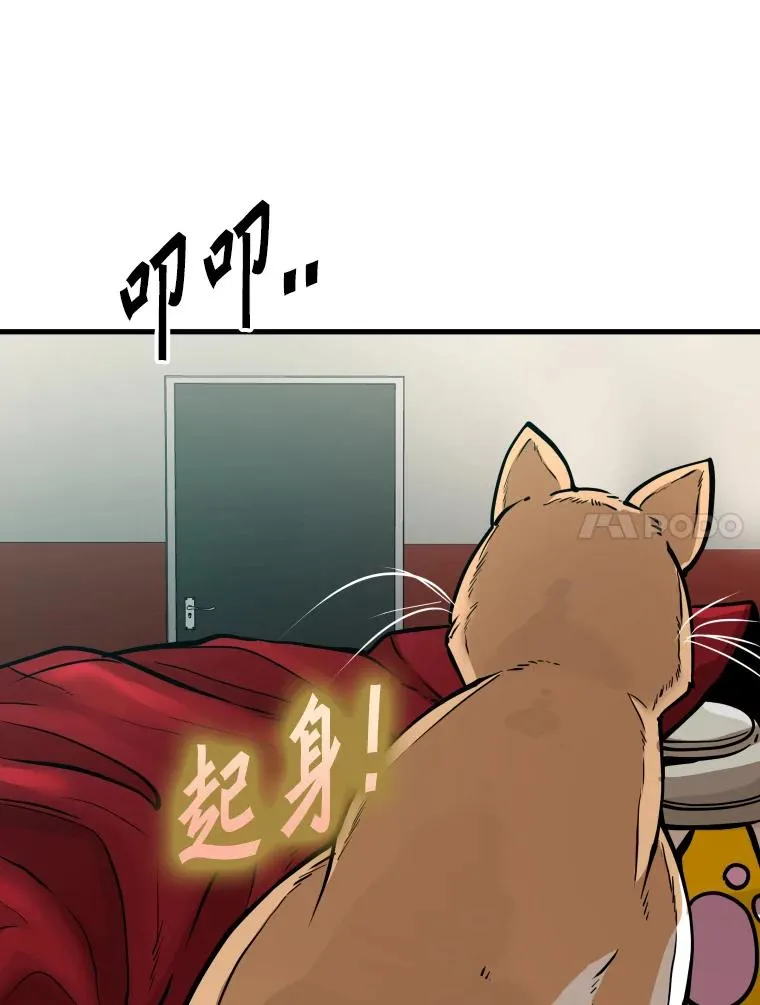 307.妍迪的一分钟KO13