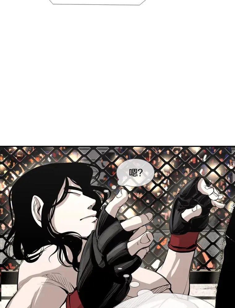 152.柔术对抗泰拳29