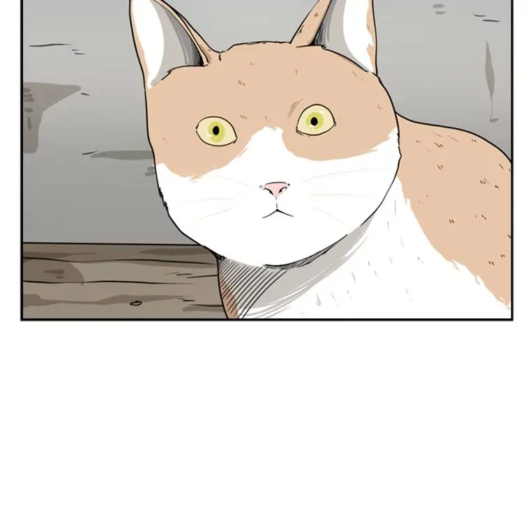 47.接近81