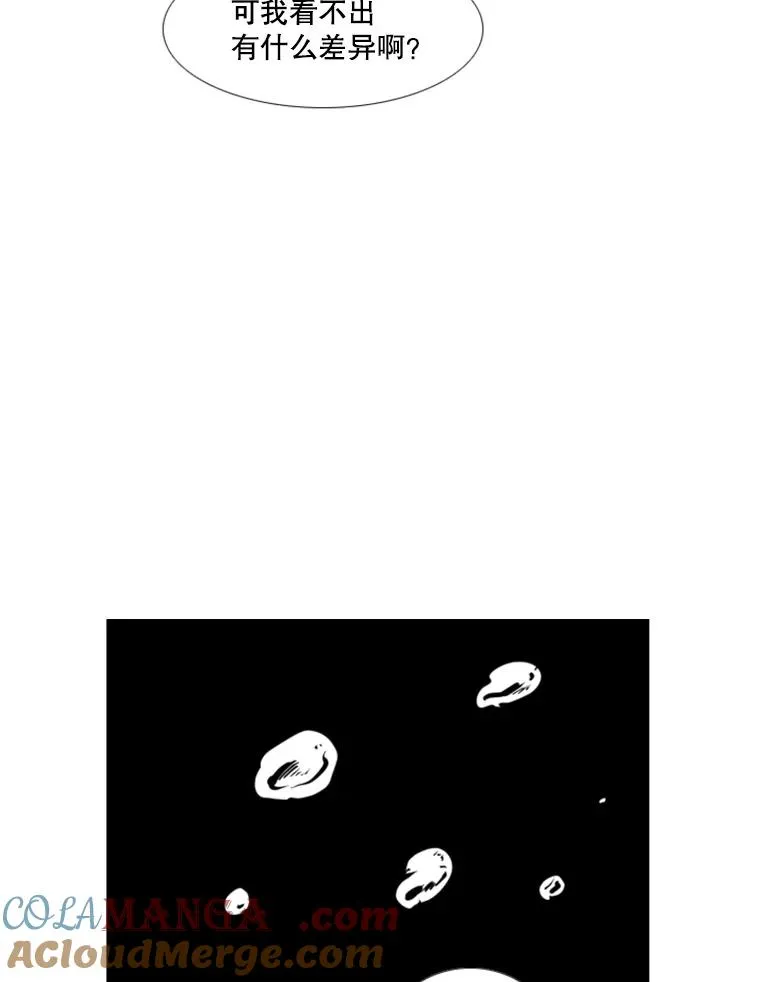 223.两条鲨鱼76