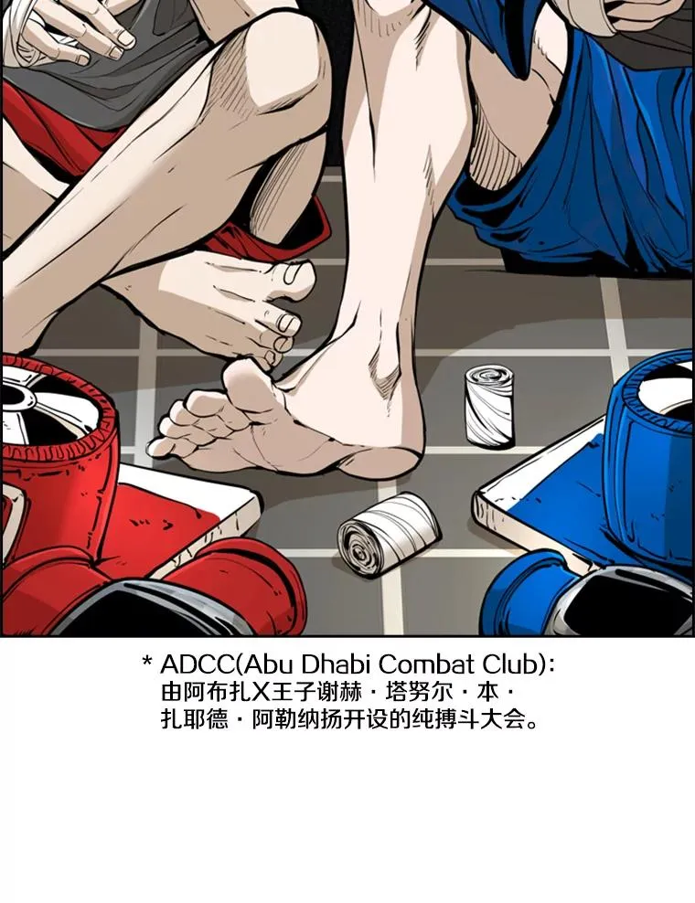 245.对战训练13