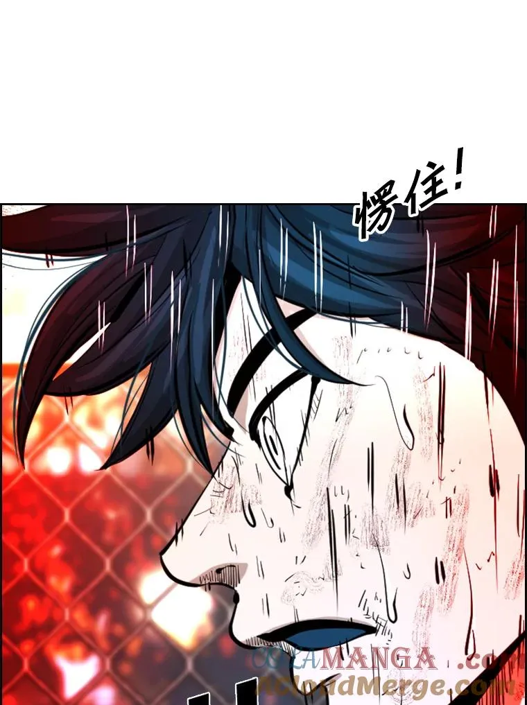 223.两条鲨鱼84
