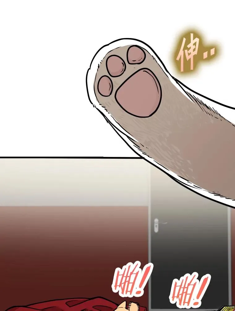 307.妍迪的一分钟KO15