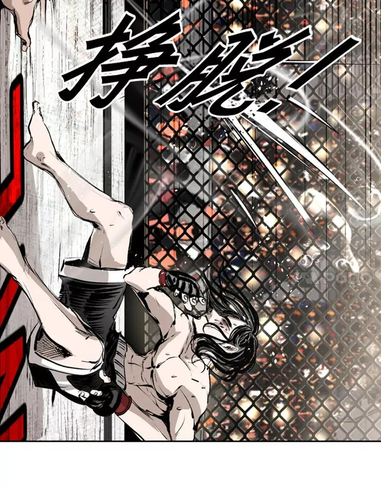 152.柔术对抗泰拳47
