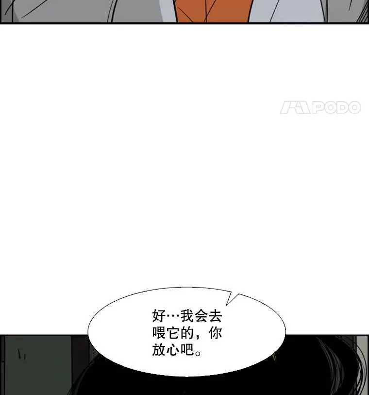 55.和平协议23