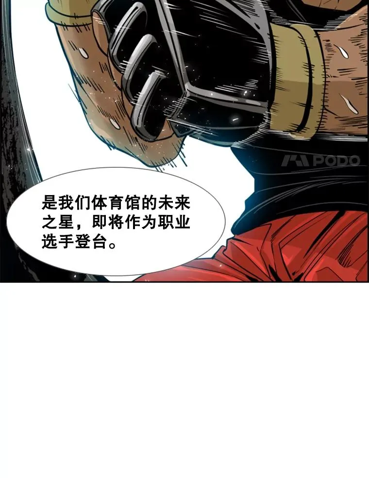 230.亨利·佩西翁14