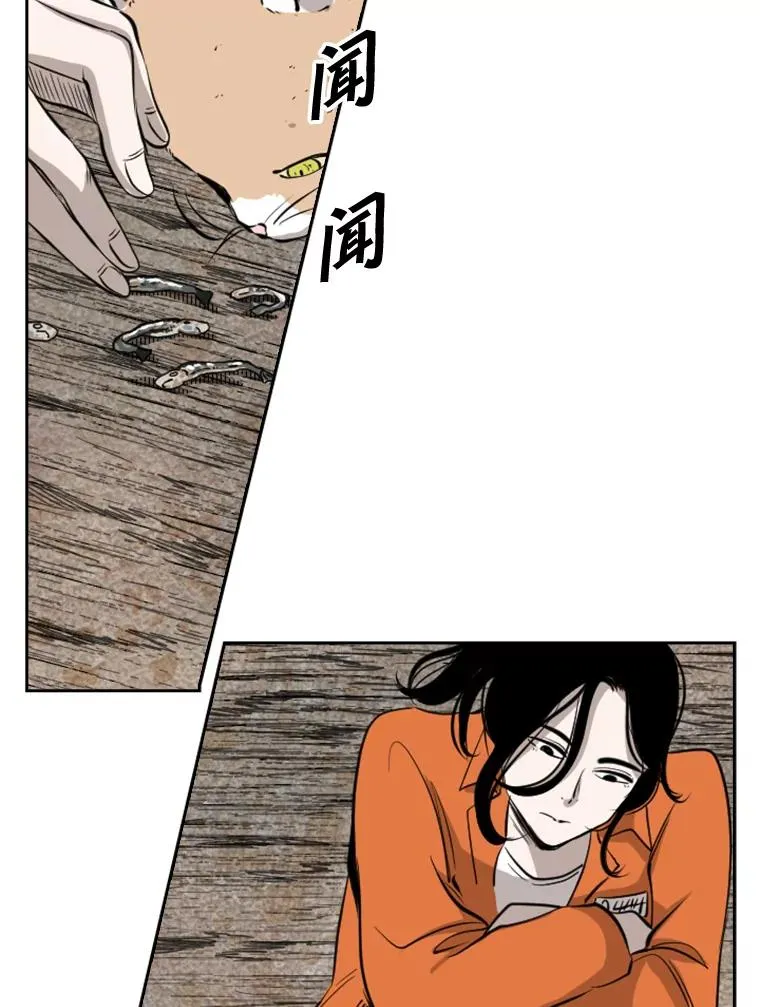 124.外传3.那只猫想让你自由59