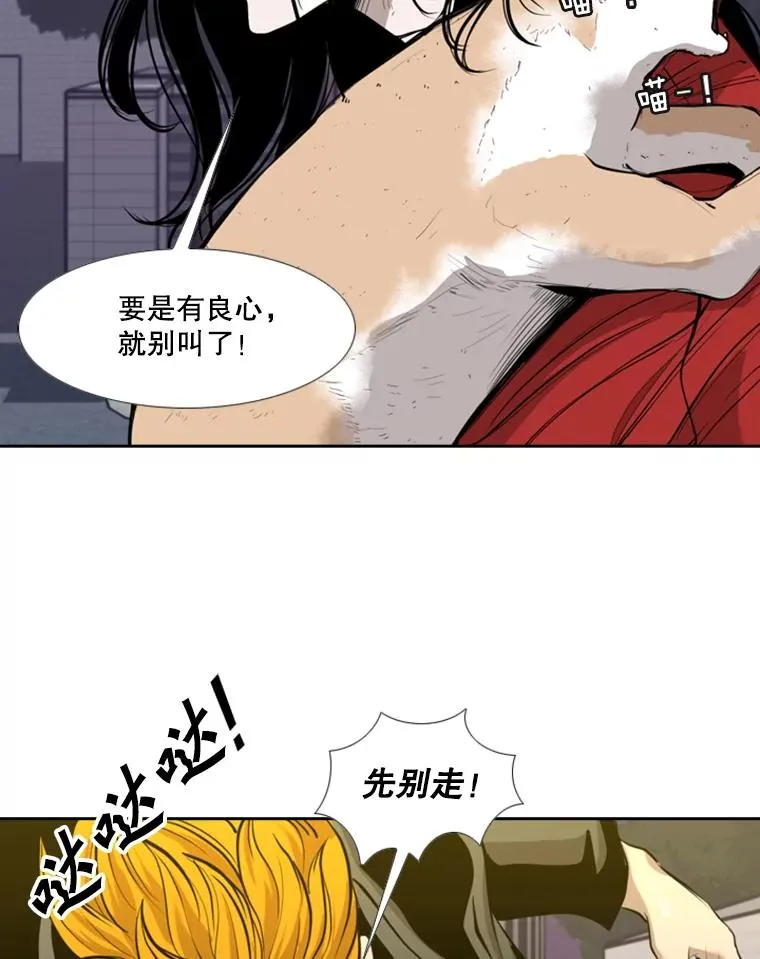 191.弃赛95
