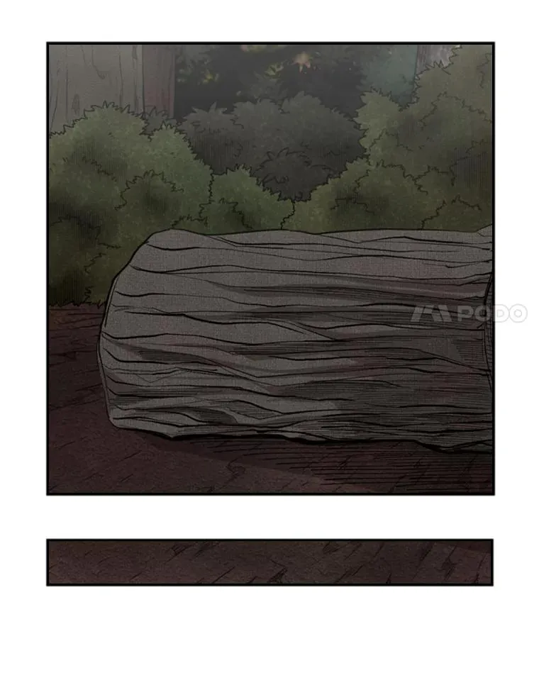 102.入秋81