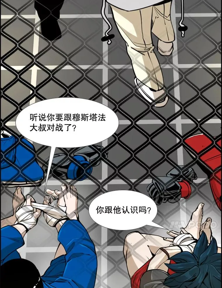245.对战训练10